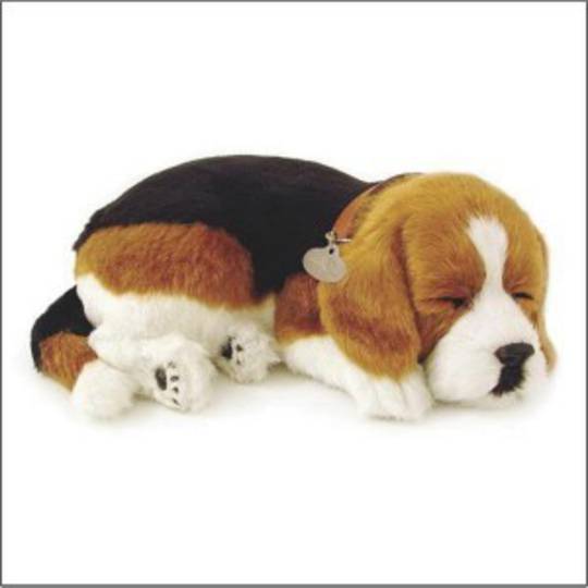 Perfect Petzzz – Beagle Dog